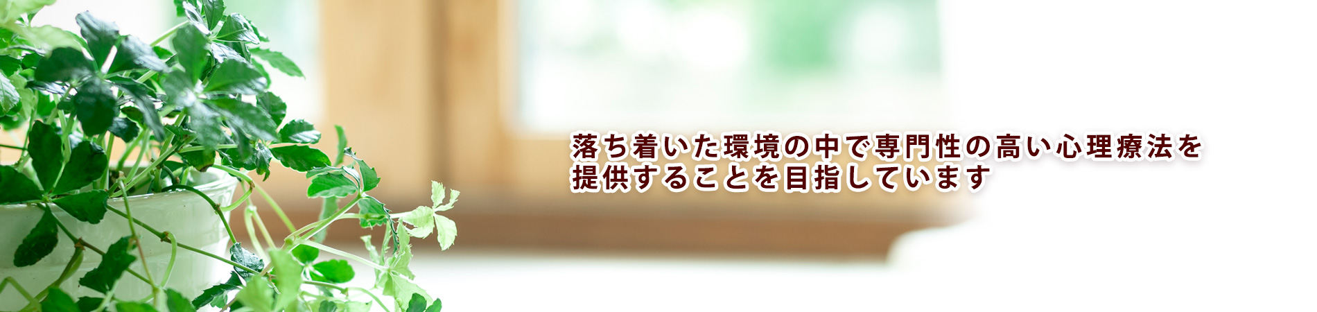 落ち着いた環境の中で専門性の高い心理療法を 提供することを目指しています